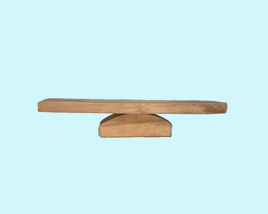 Balance Wooden Toy